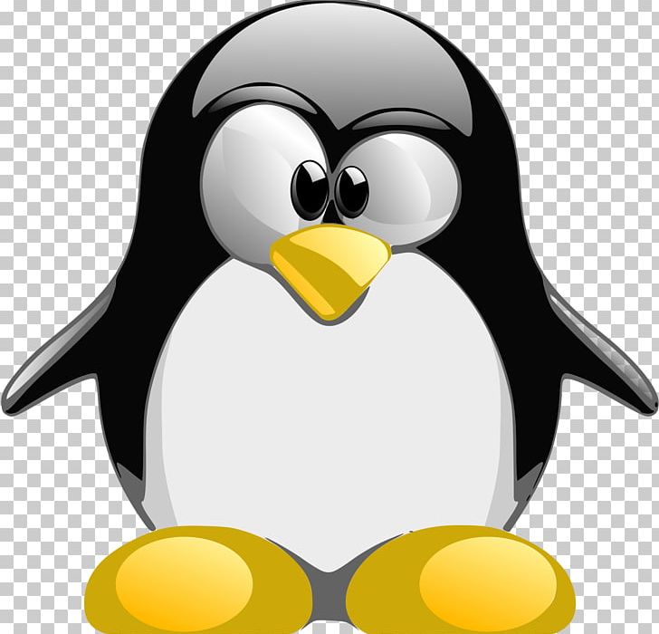 Tux Racer Penguin Linux Scalable Graphics PNG, Clipart, Animals, Beak, Best, Bird, Collections Free PNG Download