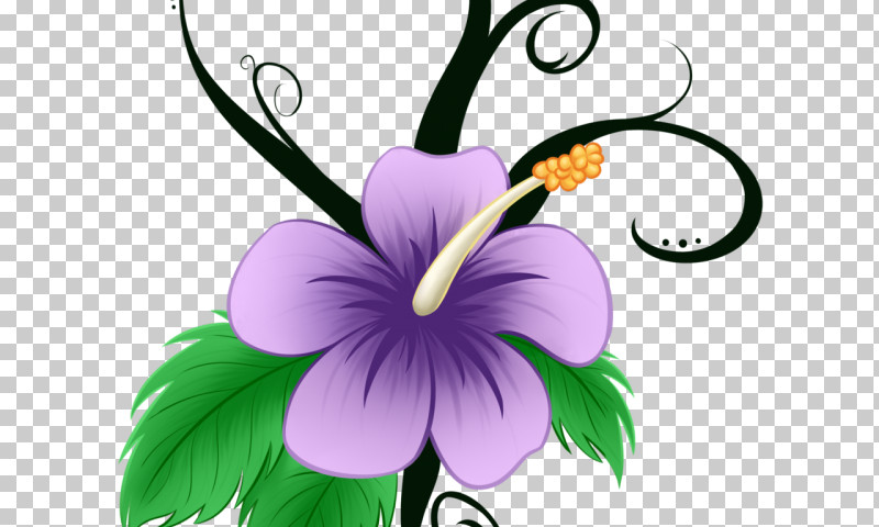 Flower Purple Petal Plant Violet PNG, Clipart, Cattleya, Flower, Hibiscus, Iris, Mallow Family Free PNG Download