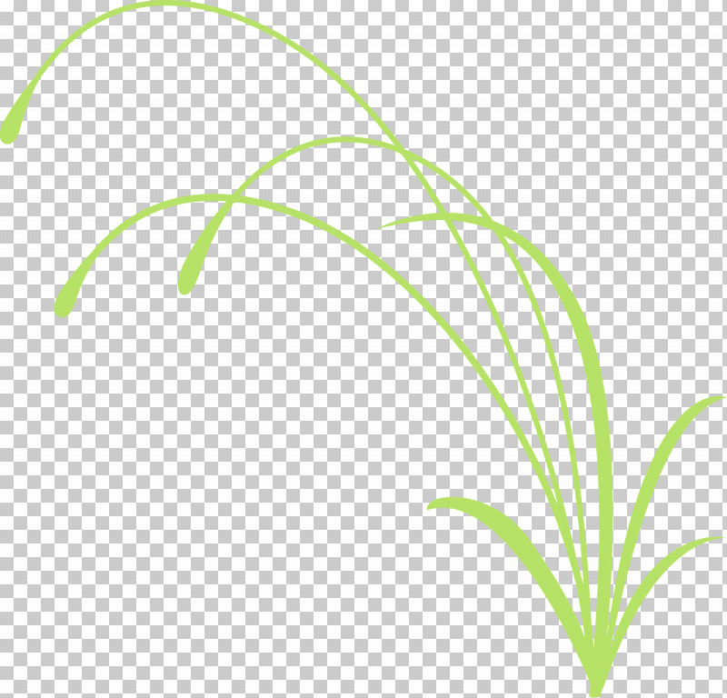 Green Leaf Grass Plant Grass Family PNG, Clipart, Decoration Frame, Flower, Flower Frame, Grass, Grass Family Free PNG Download