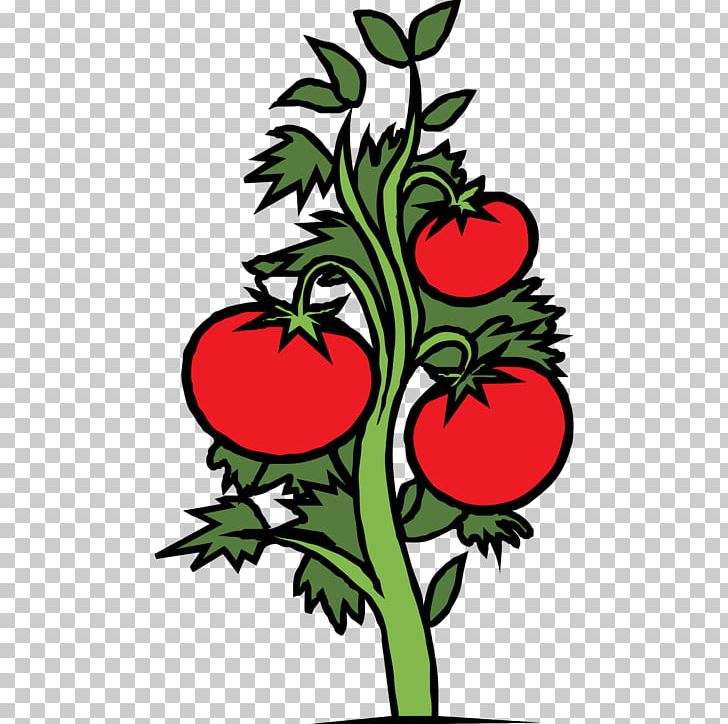 Premium Vector | Tomato bunch with leaf vector engraved illustration  isolated on white background