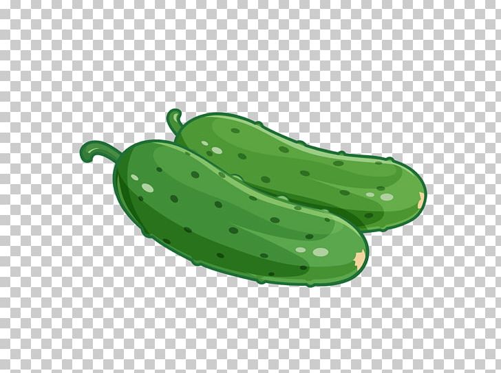 Cucumber Cartoon Vegetable Poster PNG, Clipart, Art, Cartoon Cucumber, Cucumber Gourd And Melon Family, Cucumber Slices, Cucumis Free PNG Download
