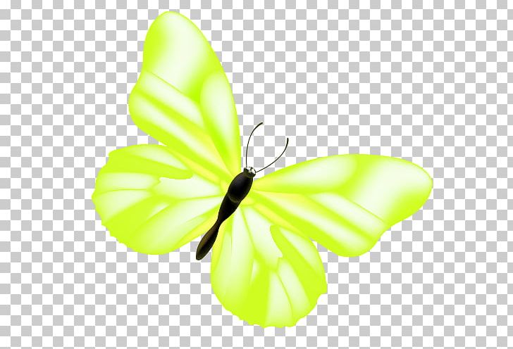 Monarch Butterfly Pieridae Cartoon PNG, Clipart, Brush Footed Butterfly, Cartoon, Cartoon Character, Cartoon Cloud, Cartoon Eyes Free PNG Download
