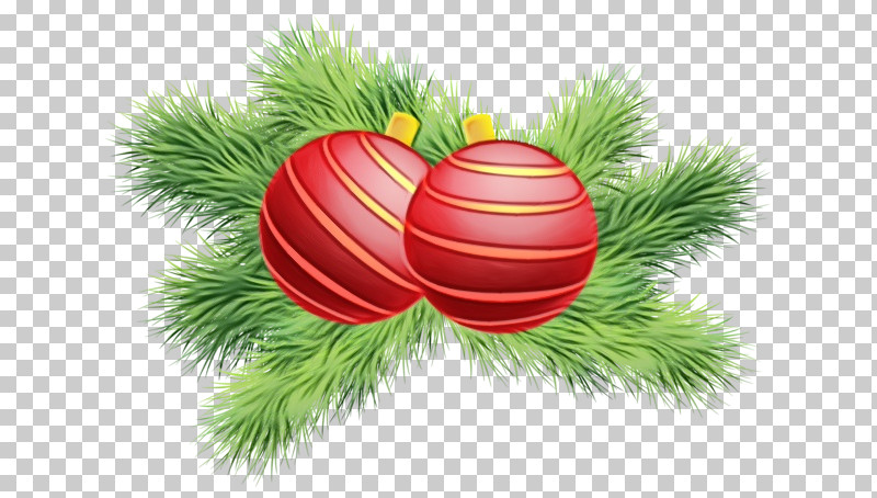 Christmas Ornament PNG, Clipart, Christmas Day, Christmas Ornament, Conifers, Family, Fir Free PNG Download