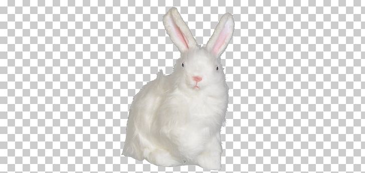 Domestic Rabbit Fur Hare Easter Bunny PNG, Clipart, 30 Cm, Animals, Cube, Dimension, Domestic Rabbit Free PNG Download