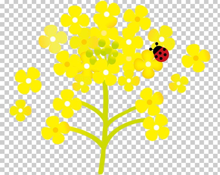 Flower And Ladybug. PNG, Clipart, Art, Branch, Cut Flowers, Encapsulated Postscript, Flora Free PNG Download