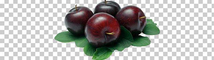 Four Plums PNG, Clipart, Food, Fruits, Plums Free PNG Download