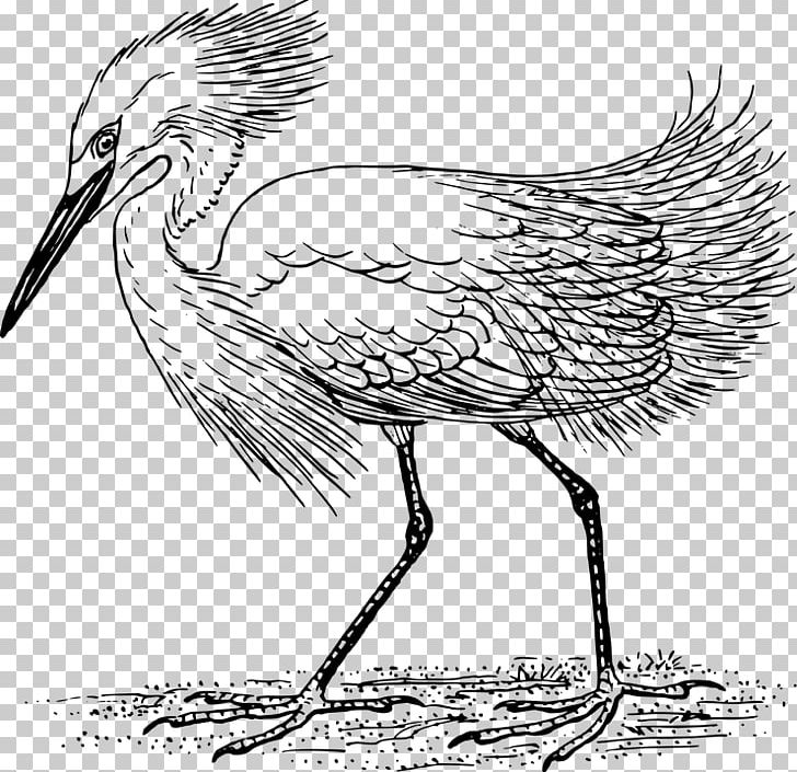 Heron Crane Great Egret PNG, Clipart, Art, Artwork, Beak, Bird, Black And White Free PNG Download