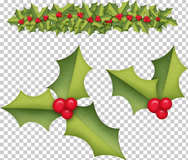 Holly Aquifoliales Christmas Ornament Fruit PNG, Clipart, Aquifoliaceae, Biscuits, Christma, Christmas Day, Christmas Decoration Free PNG Download