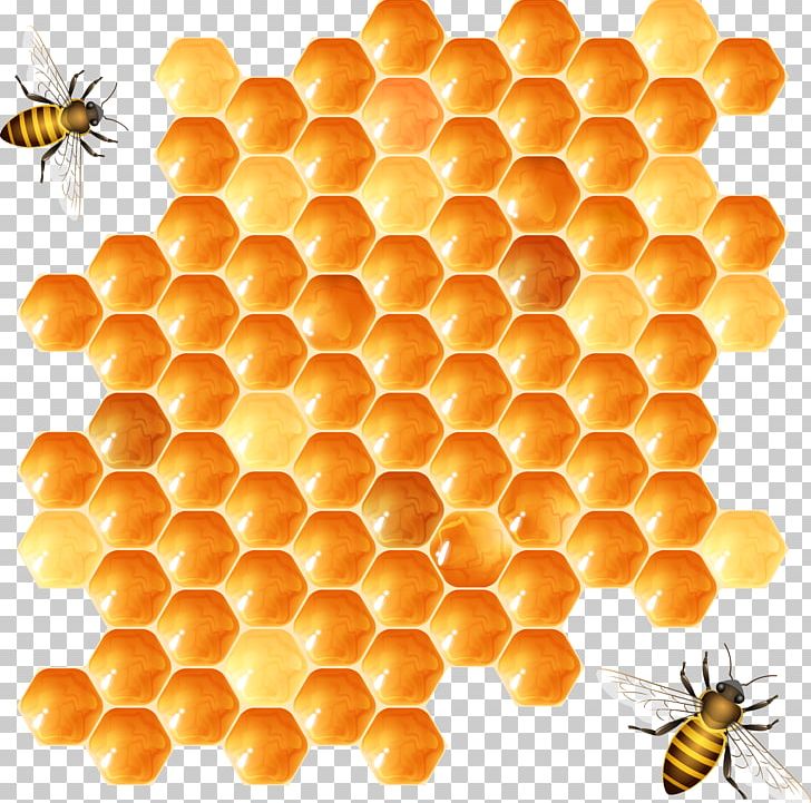 Beehive Honeycomb PNG, Clipart, Bees, Bee Vector, Encapsulated Postscript, Food, Happy Birthday Vector Images Free PNG Download