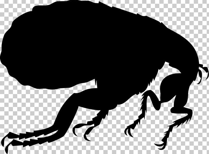 Dog Flea Silhouette Illustration PNG, Clipart, Bird Fleas, Black And White, Bug, Cat Flea, Dog Flea Free PNG Download