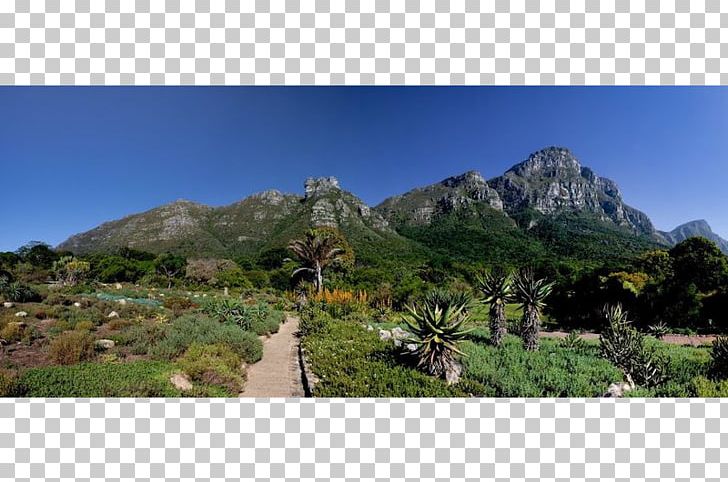 Kirstenbosch National Botanical Garden Park Garden Route PNG, Clipart, Botanical Garden, Botany, Cape Town, Ecosystem, Garden Free PNG Download