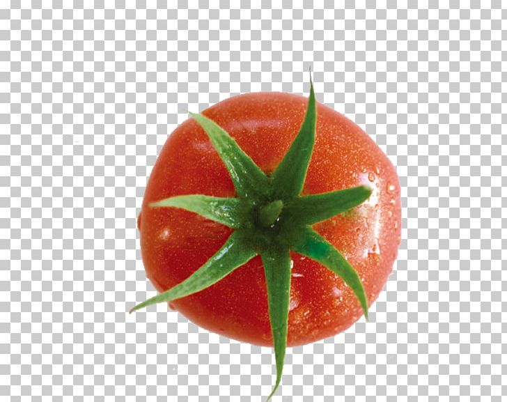 Cherry Tomato Vegetable Food PNG, Clipart, Aquatica, Back, Cherry Tomato, Encapsulated Postscript, Food Free PNG Download