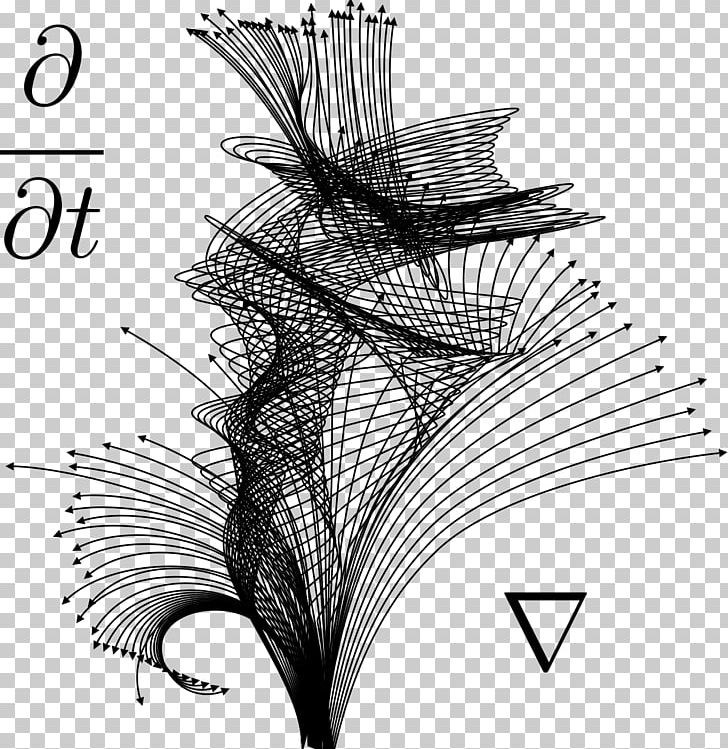 Partial Differential Equation Ordinary Differential Equation Derivative PNG, Clipart, Angle, Black And White, Branch, Der, Dna Free PNG Download