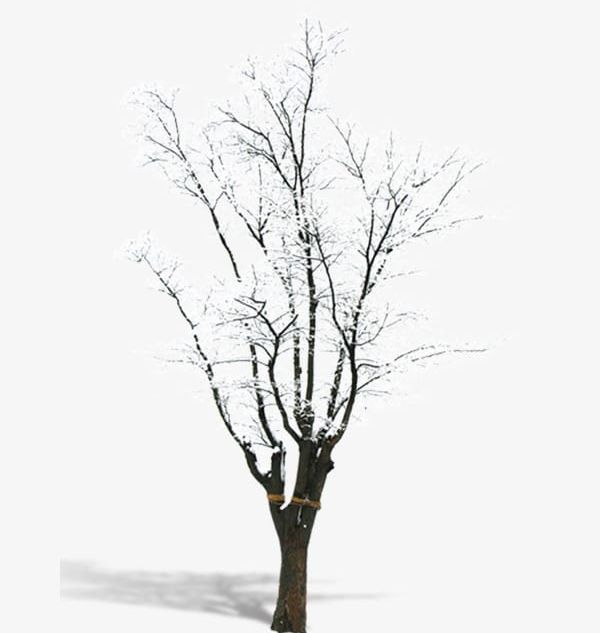Snow Trees PNG, Clipart, Snow, Snow Clipart, Trees, Trees Clipart, Winter Free PNG Download