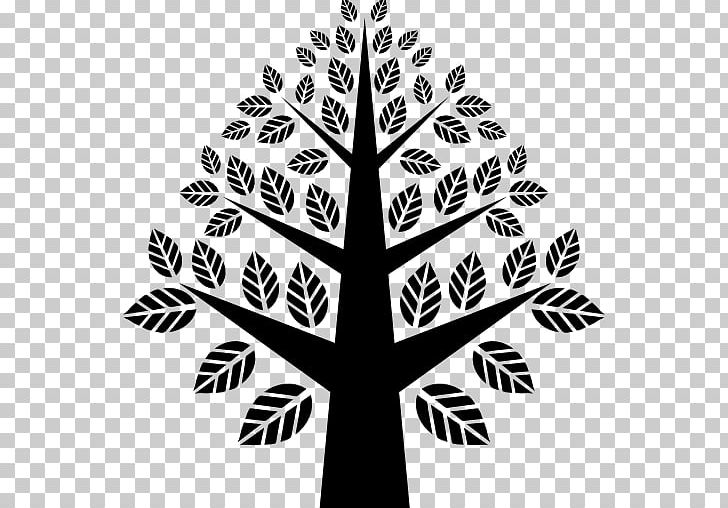 Symmetry Research Shape Family Care Center: Shell Elisabeth J Garden PNG, Clipart, Black And White, Branch, Business, Care, Center Free PNG Download