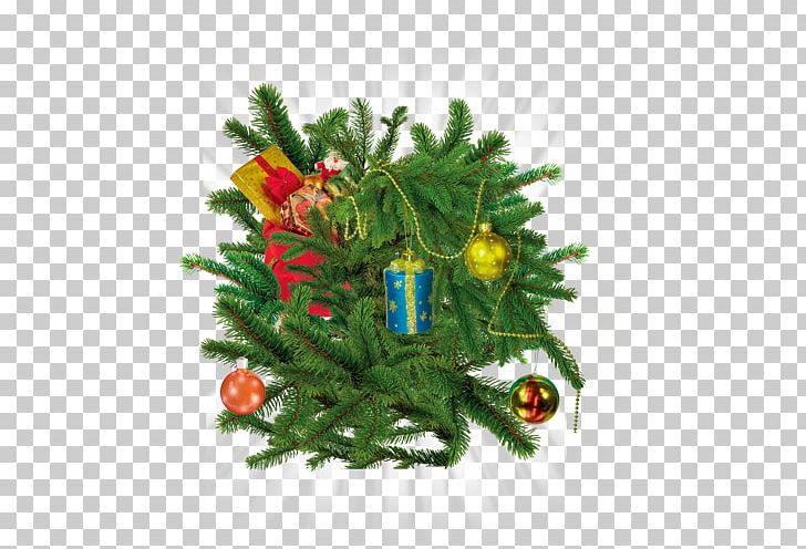 Santa Claus Christmas Tree PNG, Clipart, Branch, Chr, Christmas Decoration, Christmas Frame, Christmas Lights Free PNG Download