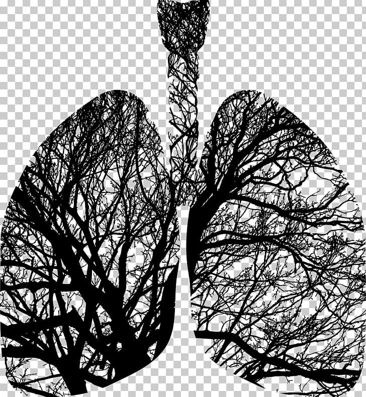 Tree Silhouette Lung Breathing PNG, Clipart, Anatomy, Black And White, Branch, Breathing, Canvas Print Free PNG Download