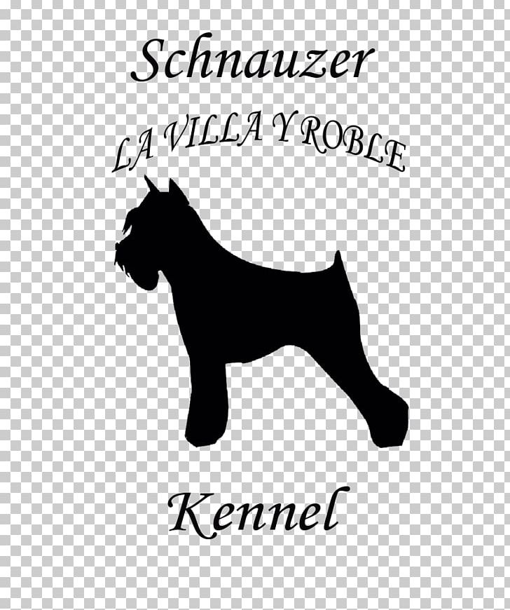 Miniature Schnauzer Dog Breed Bichon Frise Airedale Terrier PNG, Clipart, Airedale Terrier, Area, Bichon, Bichon Frise, Black And White Free PNG Download