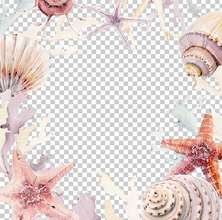Wedding Invitation Seashell Beach Convite PNG, Clipart, Cartoon Coral, Coast, Conchology, Conch Shell, Convite Free PNG Download