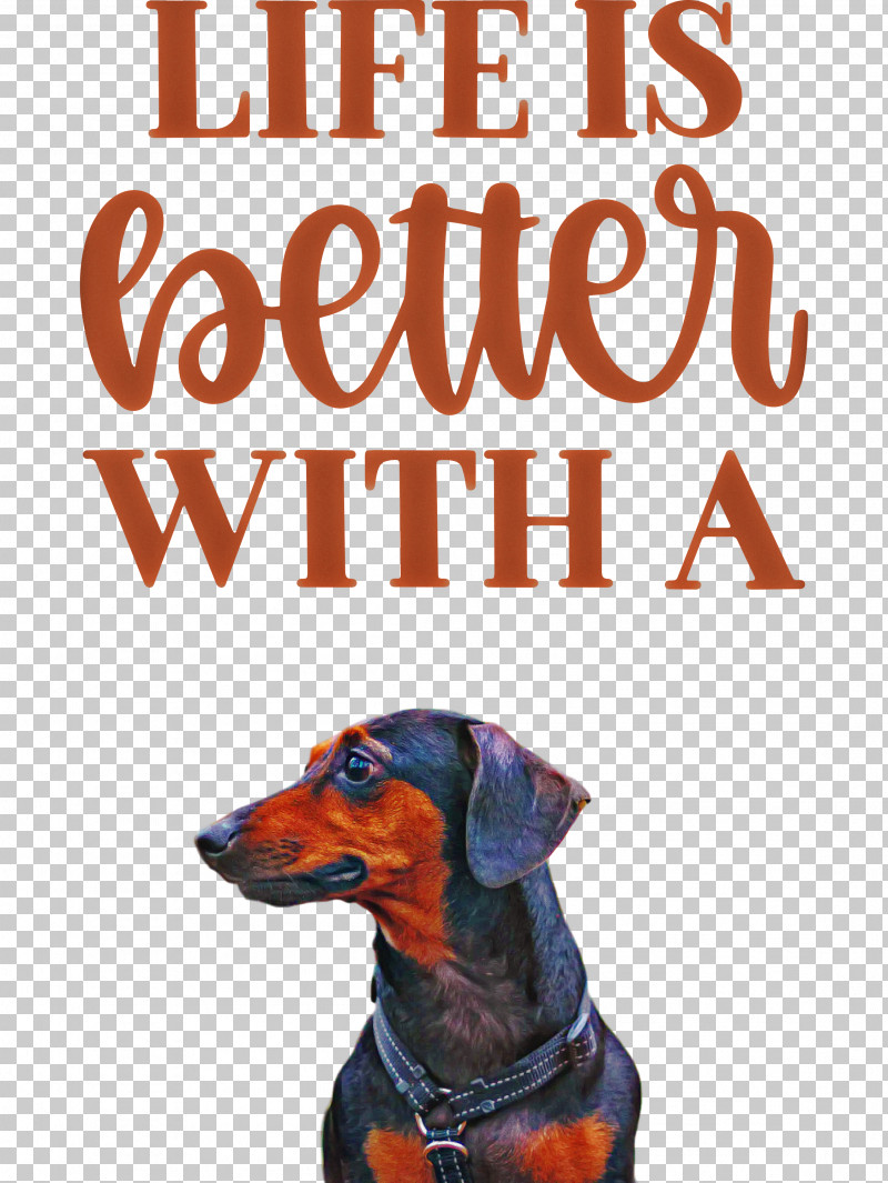Life Better PNG, Clipart, Better, Biology, Breed, Dog, Insurance Free PNG Download