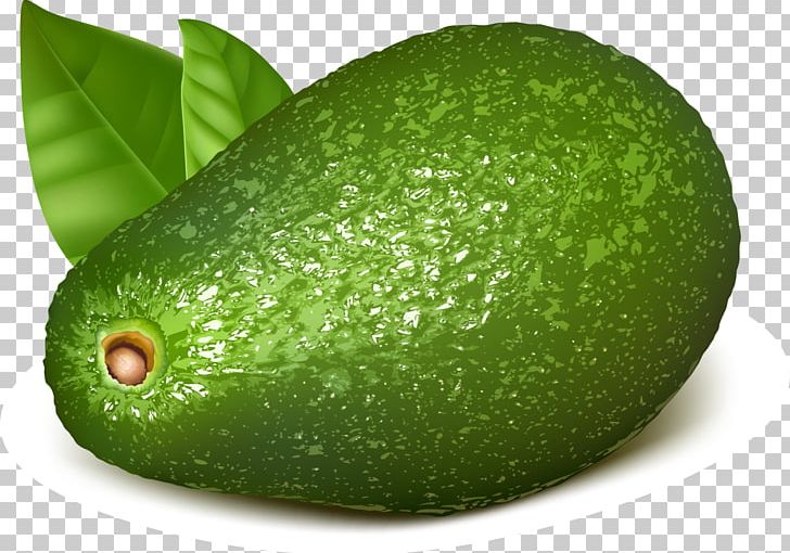 Green Papaya Salad Thai Cuisine PNG, Clipart, Avocado, Background Green, Carambola, Citrus, Decorative Free PNG Download