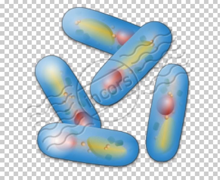 Microbiology Computer Icons Bacteria Biology PNG, Clipart, Bacteria, Cartoon, Computer Icons, Drawing, Drug Free PNG Download