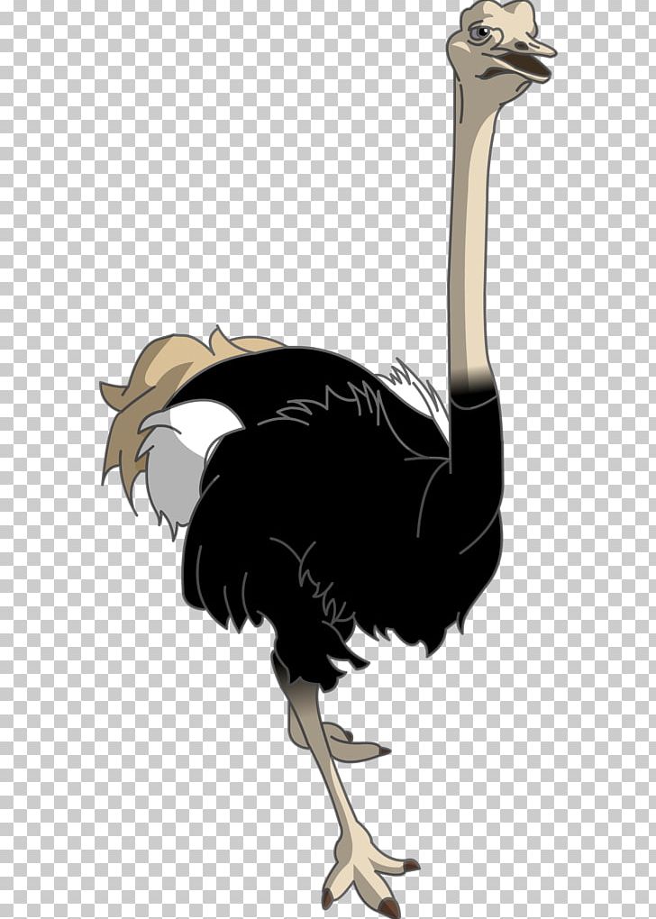 Common Ostrich Bird RGB Color Model PNG, Clipart, Animal, Animals, Balloon Cartoon, Beak, Bird Free PNG Download