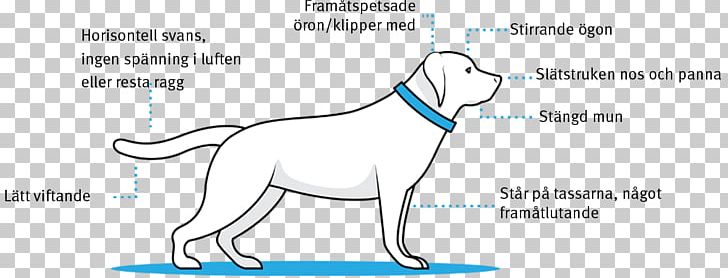 Dog Breed Puppy Ear Cat PNG, Clipart, Abdomen, Angle, Area, Body Posture, Breed Free PNG Download