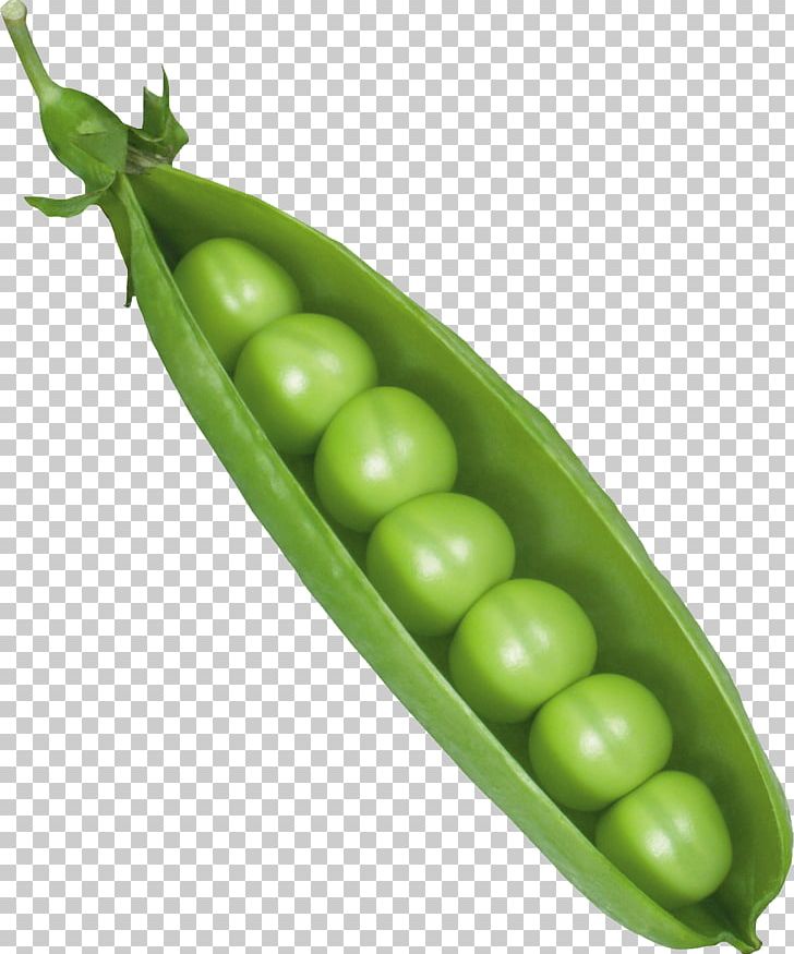 Pea Vicia Cracca Canning Icon PNG, Clipart, Commodity, Computer Icons, Digital Image, Display Resolution, Download Free PNG Download