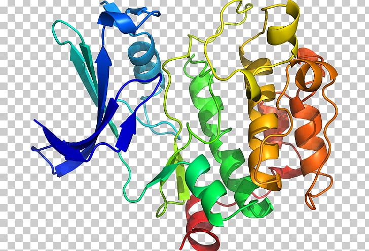 Serine/threonine-specific Protein Kinase NEK2 Serine/threonine-specific Protein Kinase PNG, Clipart, Art, Artwork, Cell, Cell Cycle, Centrosome Free PNG Download