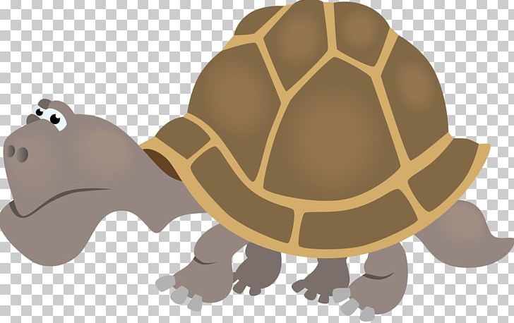 Turtle Collective Noun Child Self-control PNG, Clipart, Actividad, Animal, Animals, Child, Childhood Free PNG Download