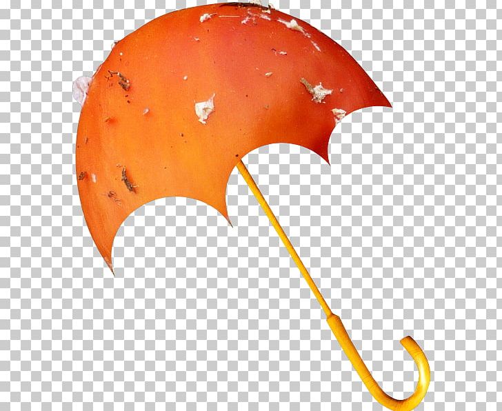 Umbrella Orange PNG, Clipart, 3d Computer Graphics, Animaatio, Color, Drawing, Fleur Free PNG Download