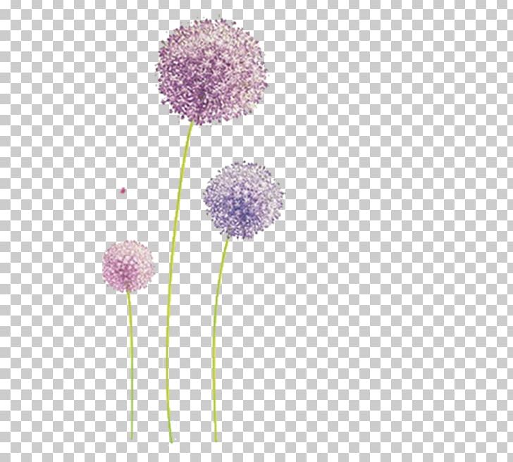 Common Dandelion Wall Decal Sticker PNG, Clipart, Common Dandelion, Dandelion, Dandelions, Decal, Decorative Arts Free PNG Download