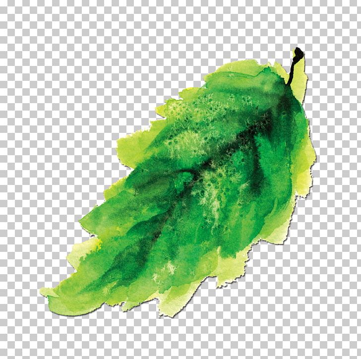Ink Wash Painting Watercolor Painting PNG, Clipart, Chinese Painting, Color, Fall Leaves, Green Tea, Green Vector Free PNG Download