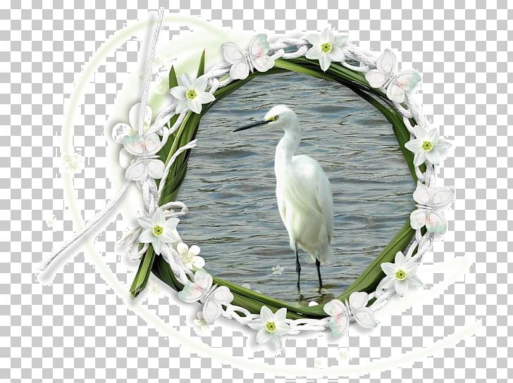 Stork Heron Beak PNG, Clipart, Animals, Beak, Bird, Ciconiiformes, City Park Free PNG Download