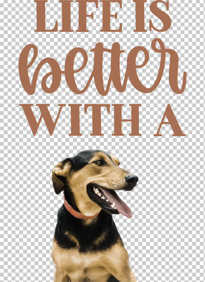 Life Better PNG, Clipart, Better, Biology, Breed, Dog, Life Free PNG Download