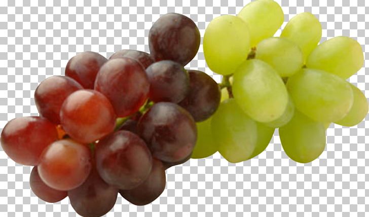 Common Grape Vine Grape Seed Oil Raisin Fruit PNG, Clipart, Berry, Common Grape Vine, Food, Fruit, Fruit Platter Free PNG Download