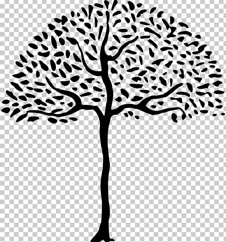 Line & Form Drawing PNG, Clipart, Artwork, Black And White, Branch, Drawing, Flora Free PNG Download