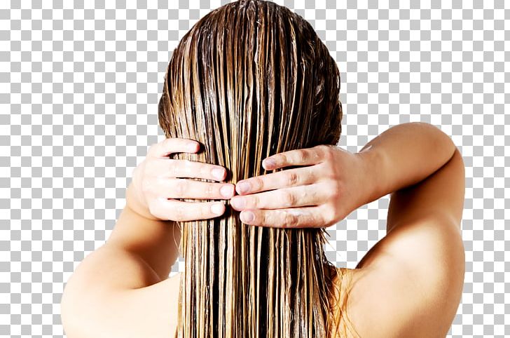 Hair Conditioner Hair Loss Human Hair Growth Shampoo PNG, Clipart, Bath Salts, Beauty Parlour, Brown Hair, Brush, Cosmetics Free PNG Download