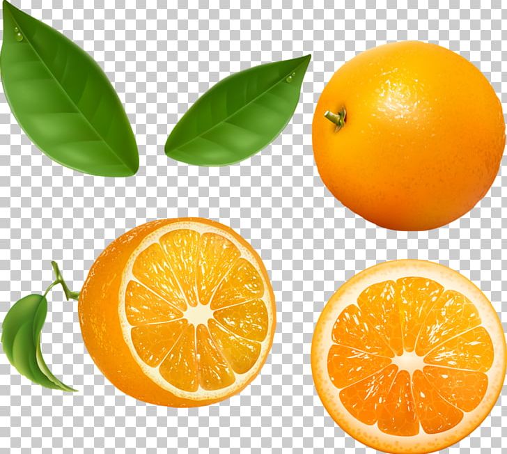 Juice Orange PNG, Clipart, Bitter Orange, Chenpi, Citric Acid, Citrus, Clementine Free PNG Download