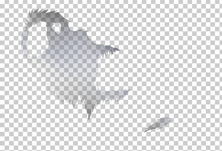 Beak Bird Of Prey Wing Feather PNG, Clipart, Beak, Bird, Bird Of Prey, Black And White, Computer Free PNG Download
