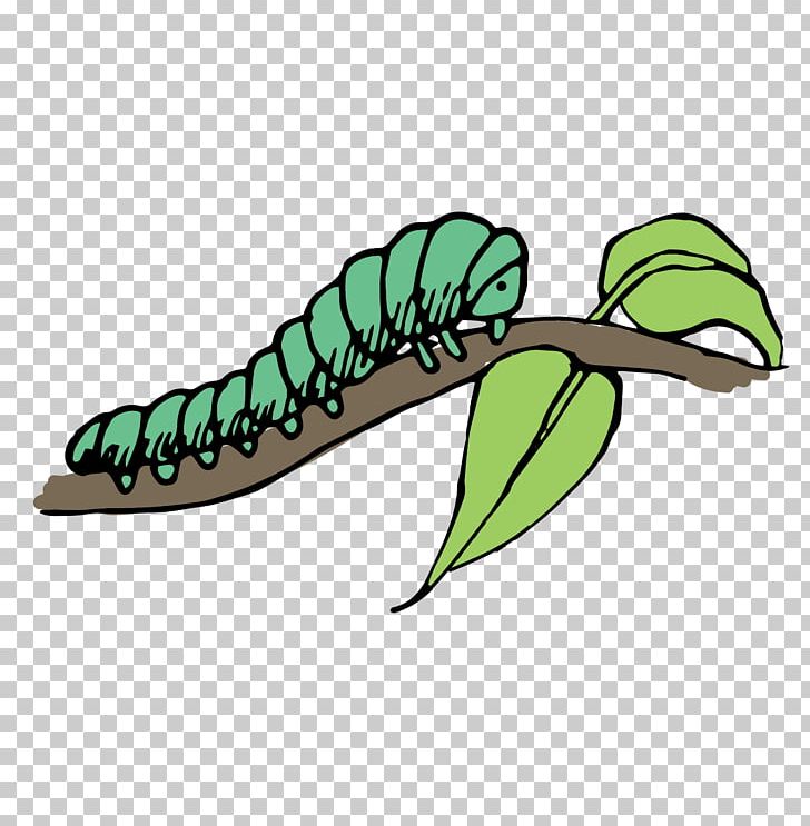 Caterpillar PNG, Clipart, Animals, Art, Blue, Branch, Branches Free PNG Download