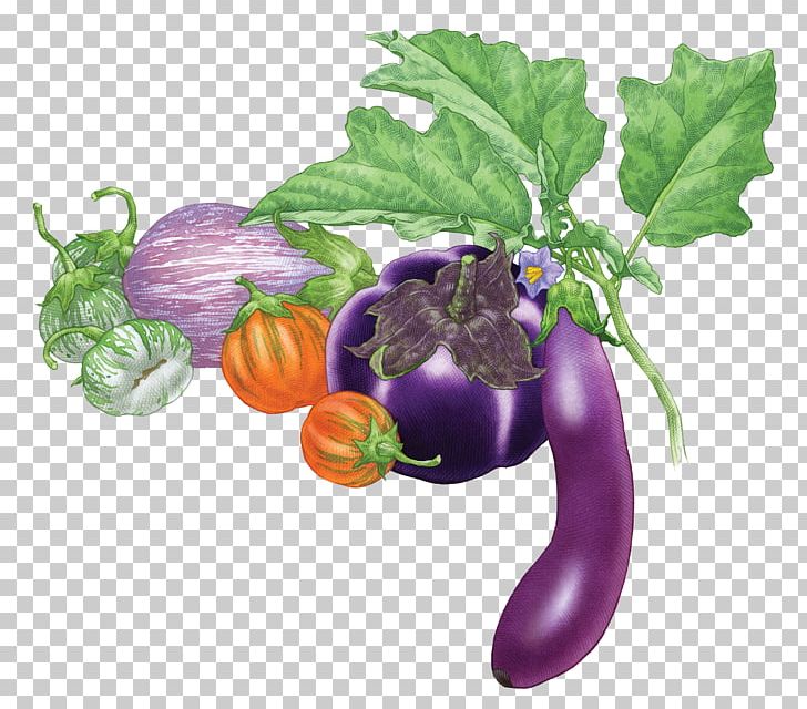 Eggplant Fruit Vegetable Tomato PNG, Clipart, Crop, Eggplant, Food, Fruit, Green Free PNG Download