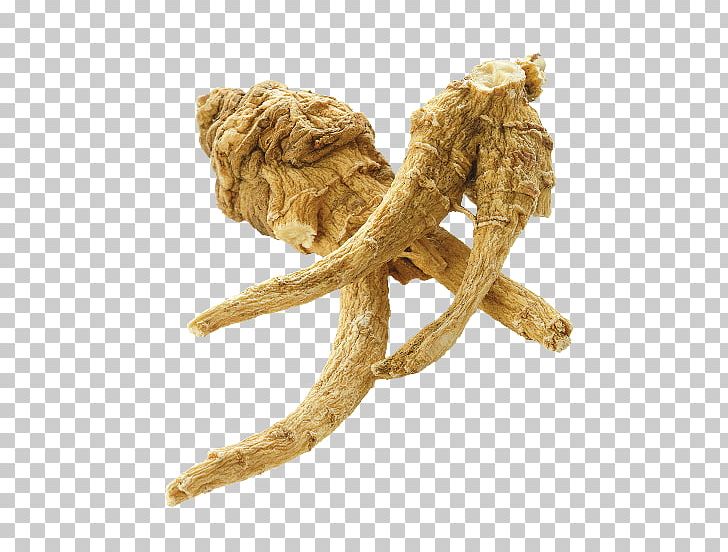 Asian Ginseng Siberian Ginseng American Ginseng Ginseng Tea PNG, Clipart, American Ginseng, Asian, Asian Ginseng, Eleutherococcus, Endurance Free PNG Download