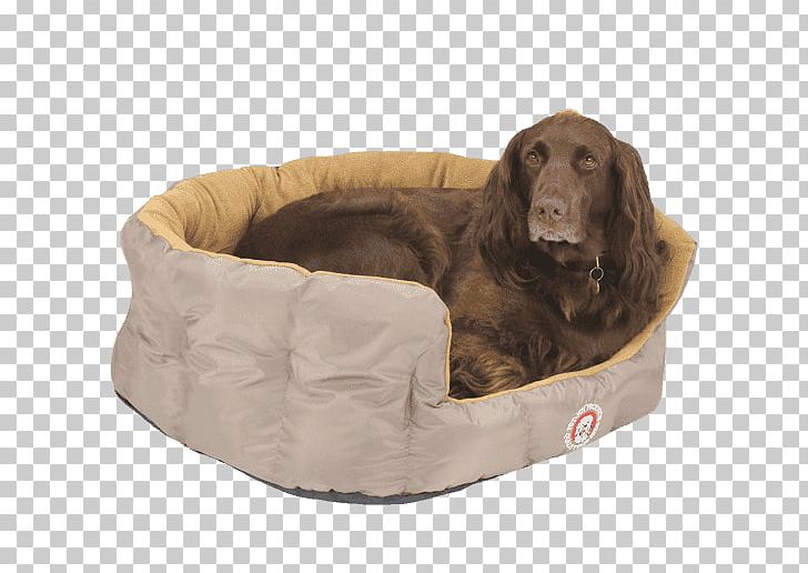 Dog Breed Sporting Group Companion Dog Bread Pan PNG, Clipart, Accessoires Dog, Animals, Bed, Bread, Bread Pan Free PNG Download