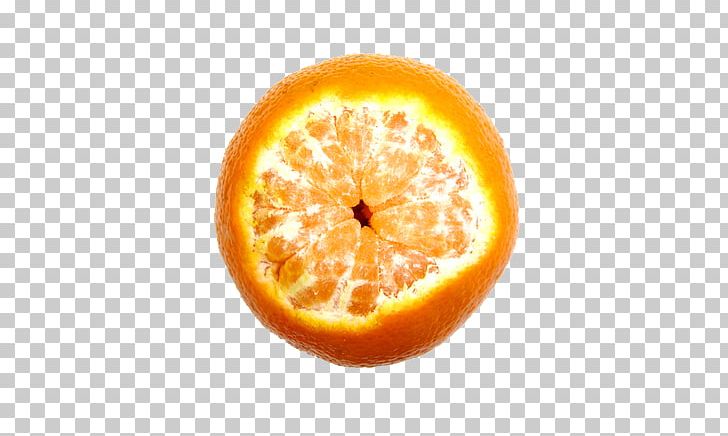 Orange Juice Clementine Mousse PNG, Clipart, Bitter Orange, Blood Orange, Brea, Citrus, Food Free PNG Download