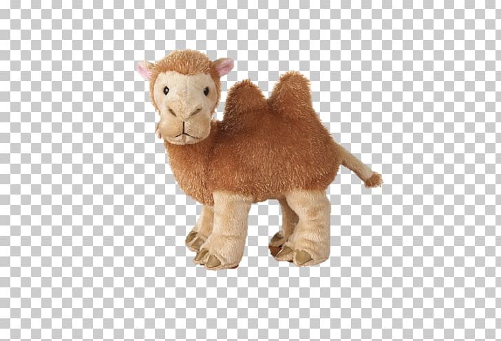 Stuffed Animals & Cuddly Toys Webkinz Amazon.com Plush PNG, Clipart, Amazoncom, Animal Figure, Camel, Camel Like Mammal, Cat Like Mammal Free PNG Download