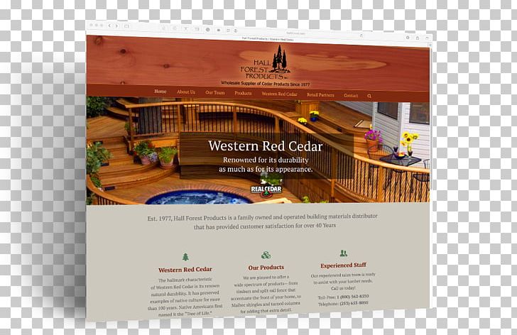 Western Redcedar Western Forest Products Forestry PNG, Clipart, Advertising, Brand, Brochure, Canada, Creative Technology Free PNG Download