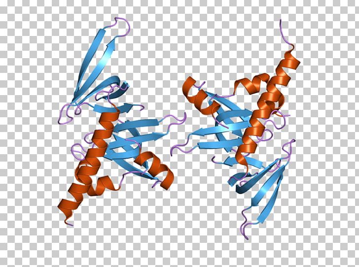 Gem-associated Protein 6 Gem-associated Protein 7 Survival Of Motor Neuron Gene PNG, Clipart, Art, Cajal Body, Cell Nucleus, Gemassociated Protein 6, Gemassociated Protein 7 Free PNG Download