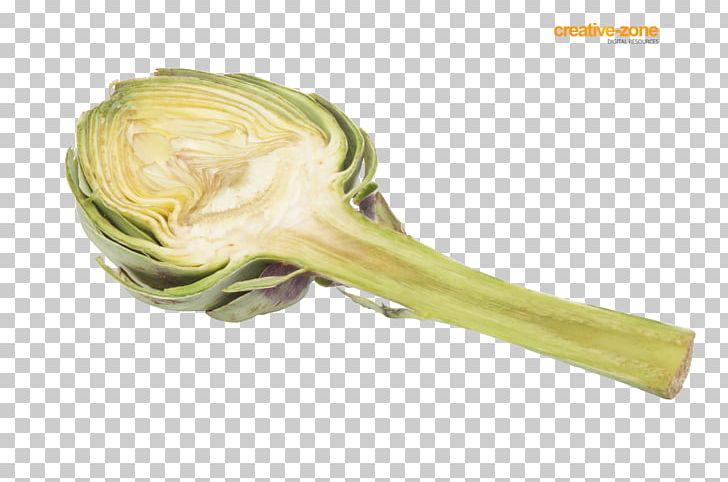 Vegetable Artichoke Cynara Red Onion PNG, Clipart, Artichoke, Author, Bulb, Computer Hardware, Cynara Free PNG Download